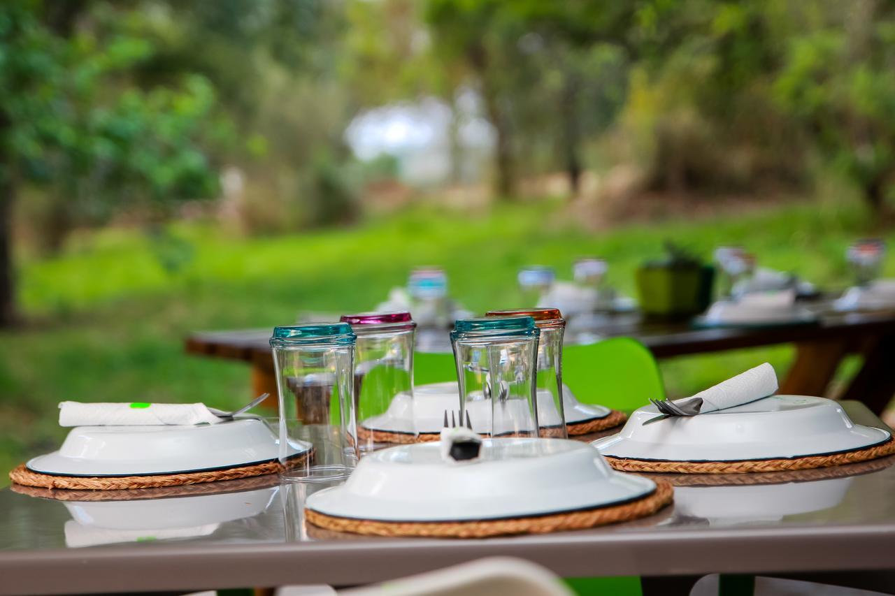 Bushbaby Lodge At Nkonyeni Manzini Luaran gambar